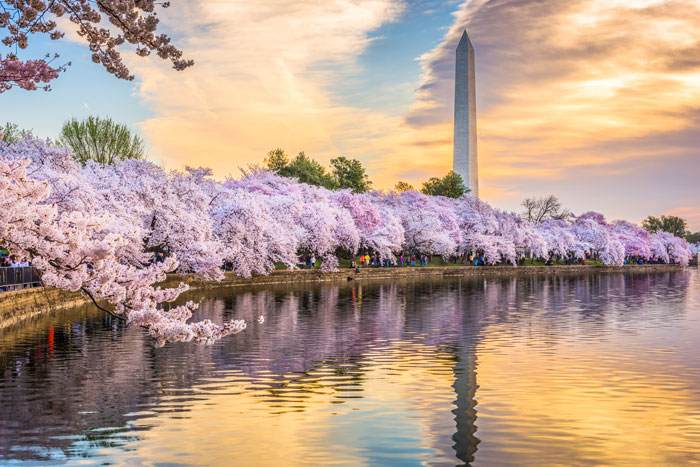 Take a bus trip to Washington D.C and step back in time.