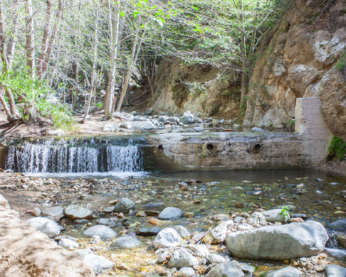 Hiking in Los Angeles: Where to Go and What to See