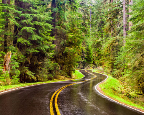 5 Ways to Make The Most Out of Your Cross-Country Road Trip