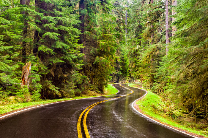 Enjoy the fresh air and bright greenery on during your cross country road trip.