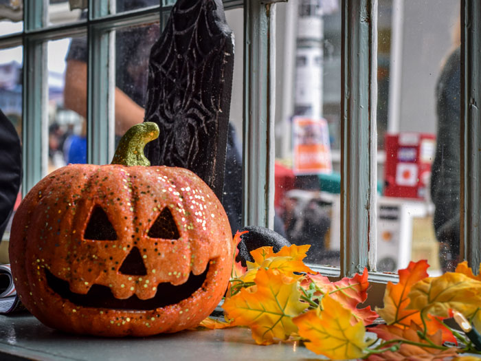 Fall is coming up fast and there is no shortage of fun Halloween Festivals to visit in October!