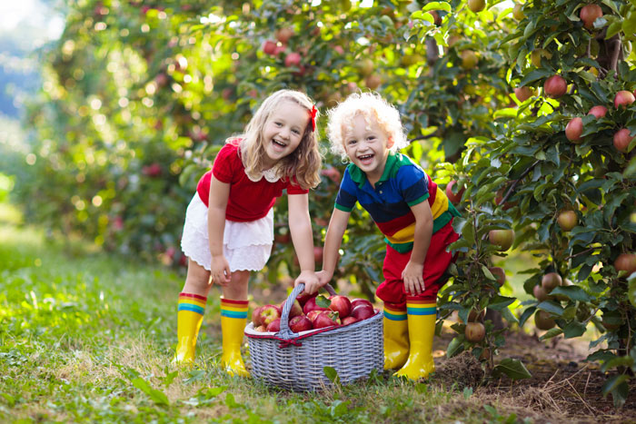 There are so many fall activities to do in Vermont! Make sure to check out the beautiful apple orchards.
