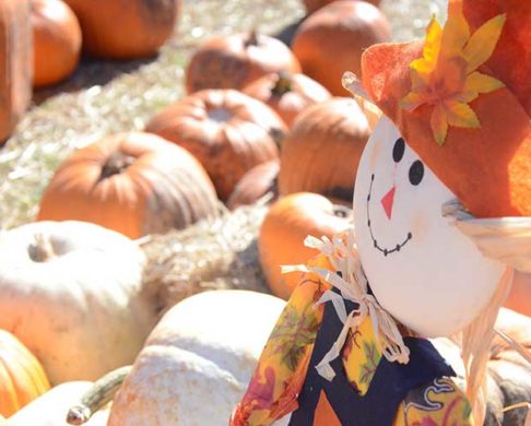 The Best Fall Festivals Across America You Won’t Want to Miss